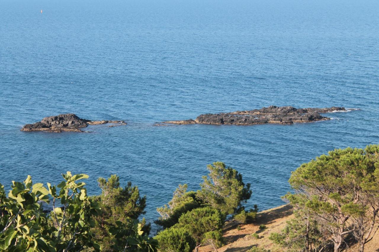 appartement vue mer el farniente Cerbère Exterior foto